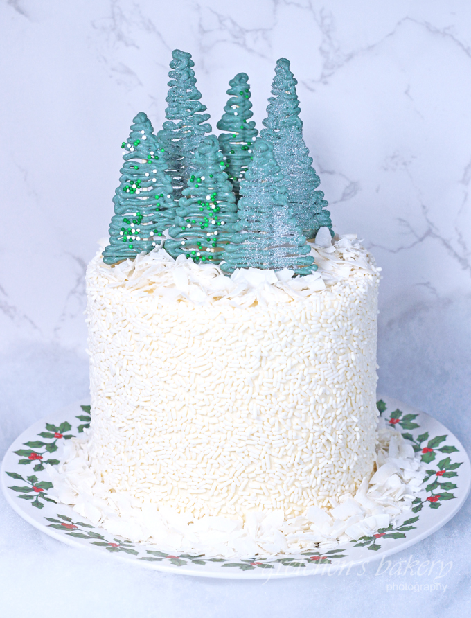 Winter Wonderland Checkerboard Cake