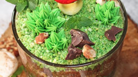 Terrarium Cake with Chocolate Mushrooms – Edible Crafts